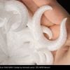 Technology Hub Australia | Fillamentum Filament CPE HG100 "Natural"