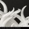 Technology Hub Australia | Fillamentum Filament CPE HG100 "Natural"