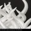 Technology Hub Australia | Fillamentum Filament CPE HG100 "Natural"