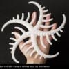 Technology Hub Australia | Fillamentum Filament CPE HG100 "Natural"